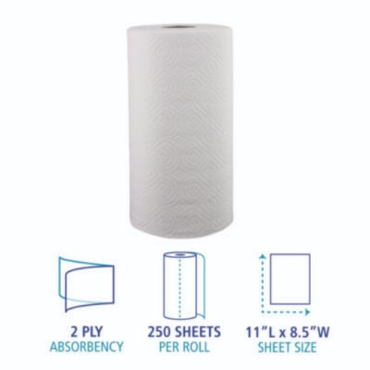 Picture of Big Roll Paper Towels(12)